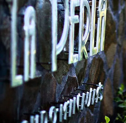 15 Bed & Breakfast Tamarindo